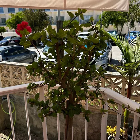 Apartment Junto Al Mar Roqueo Nicolas *